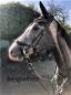 Preview: Bridle "Soft Crown"